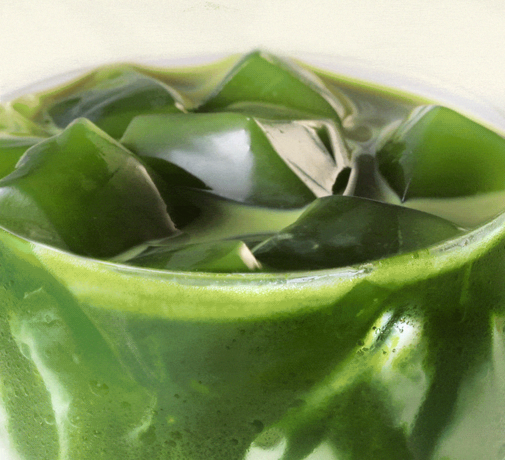 mxc抹茶官网(mxc抹茶官网是什么)