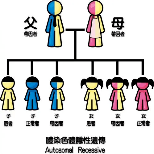 为什么不能用sma(为什么不能用泥鳅钓鱼?)