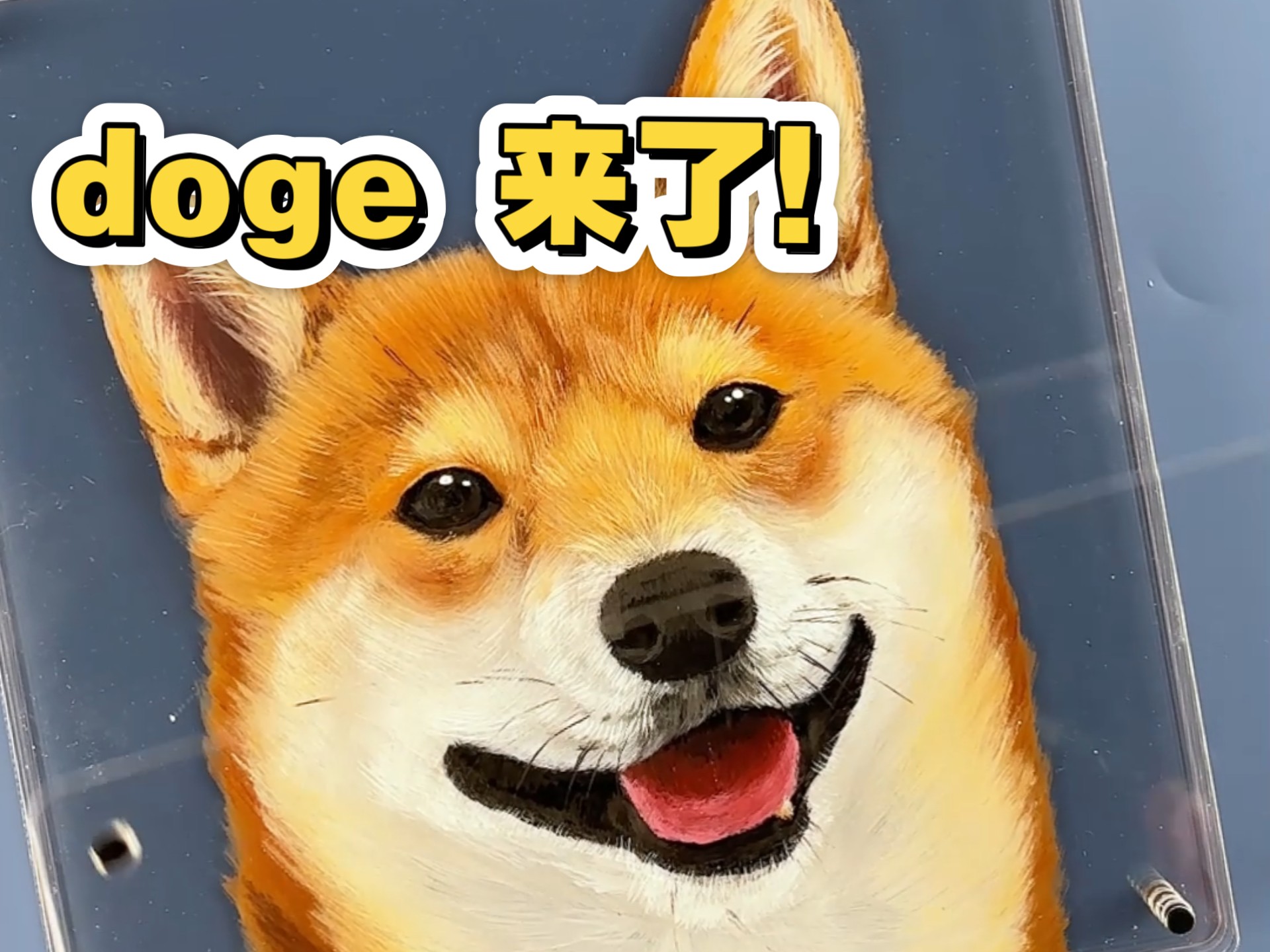 doge论坛(doge交流群) doge论坛(doge交流群)
