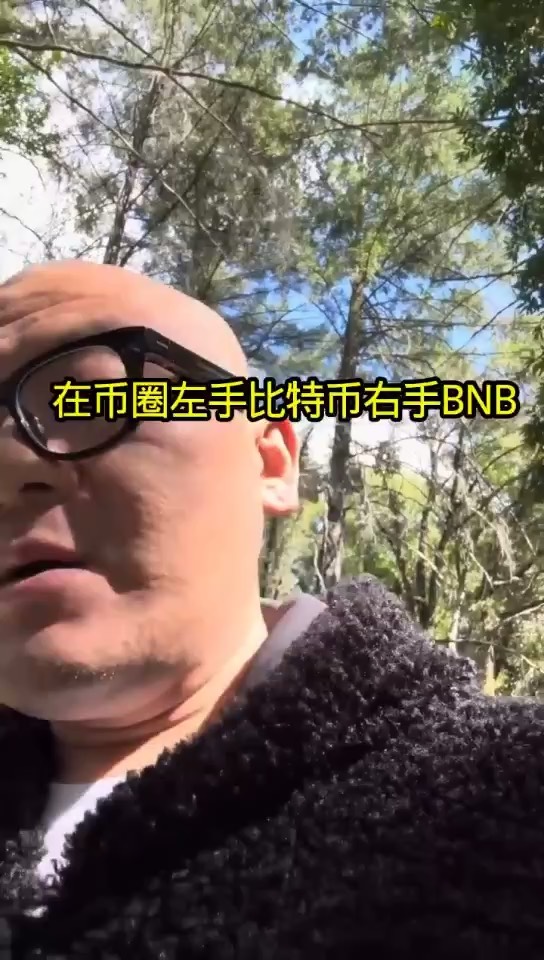 bnb是什么币(bnb一个值多少人民币) bnb是什么币(bnb一个值多少人民币)