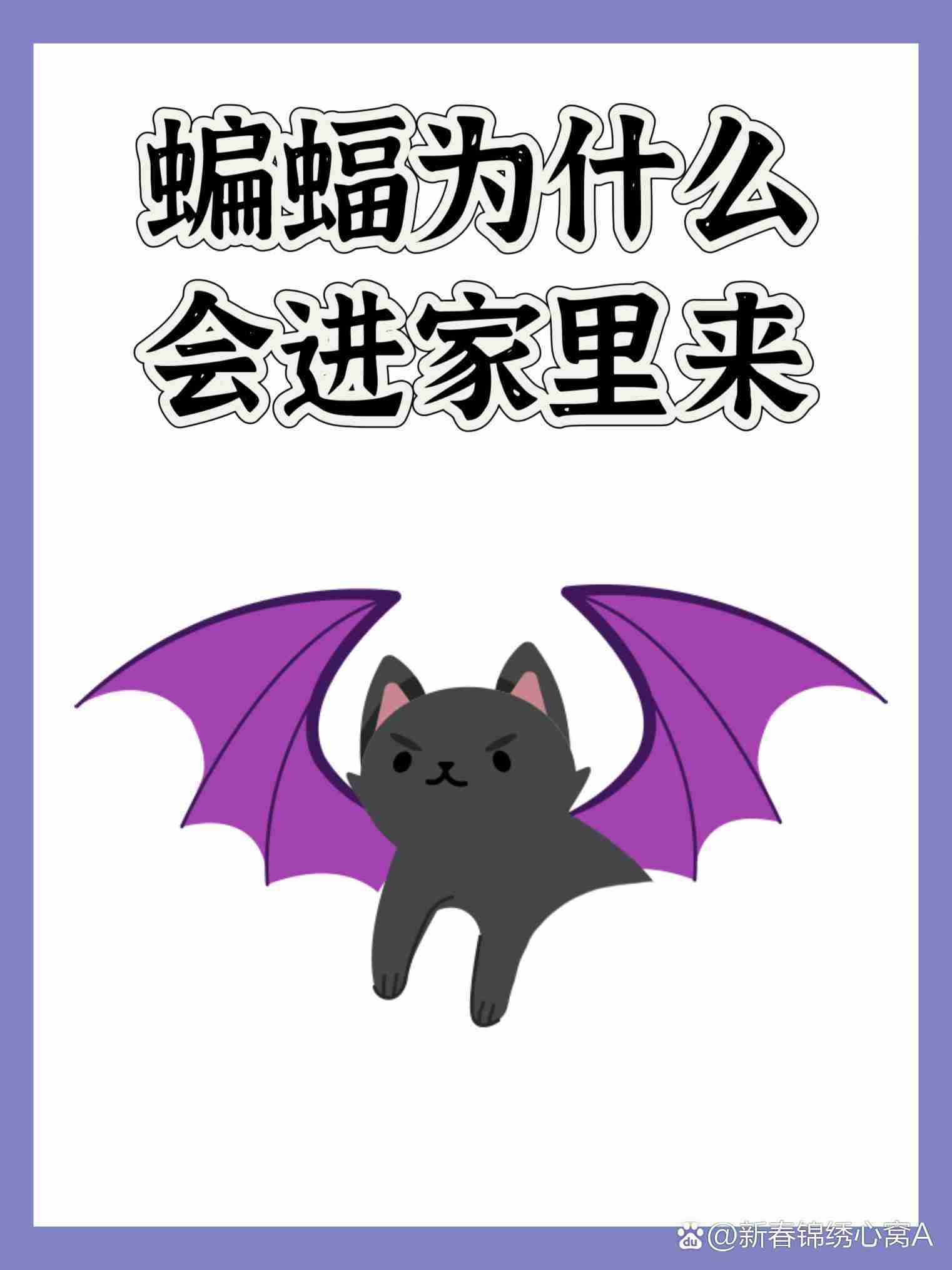 为什么蝙蝠在抖(蝙蝠为什么会落在地上) 为什么蝙蝠在抖(蝙蝠为什么会落在地上)