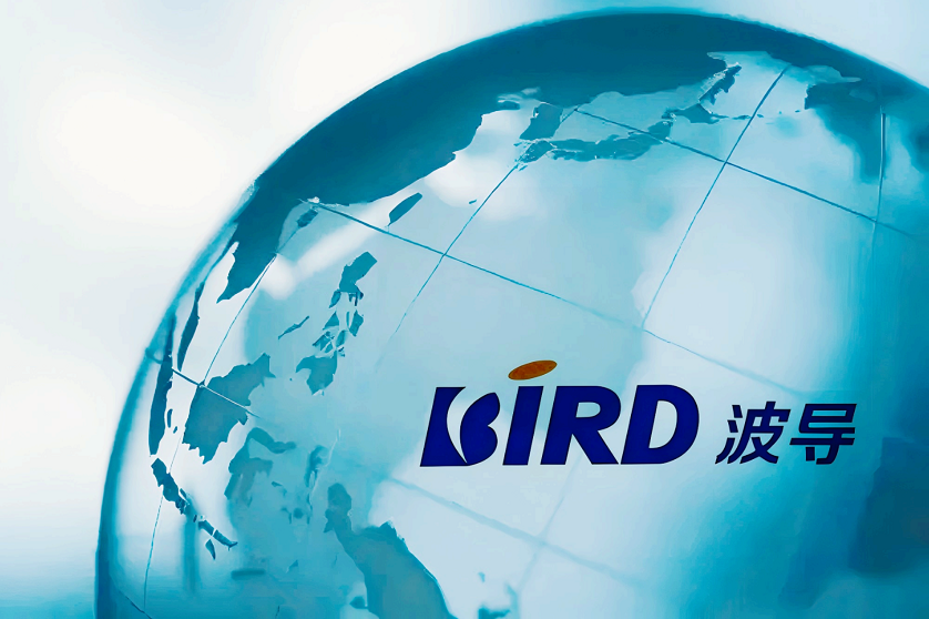 波导股份为什么跌停(波导是上市公司吗)